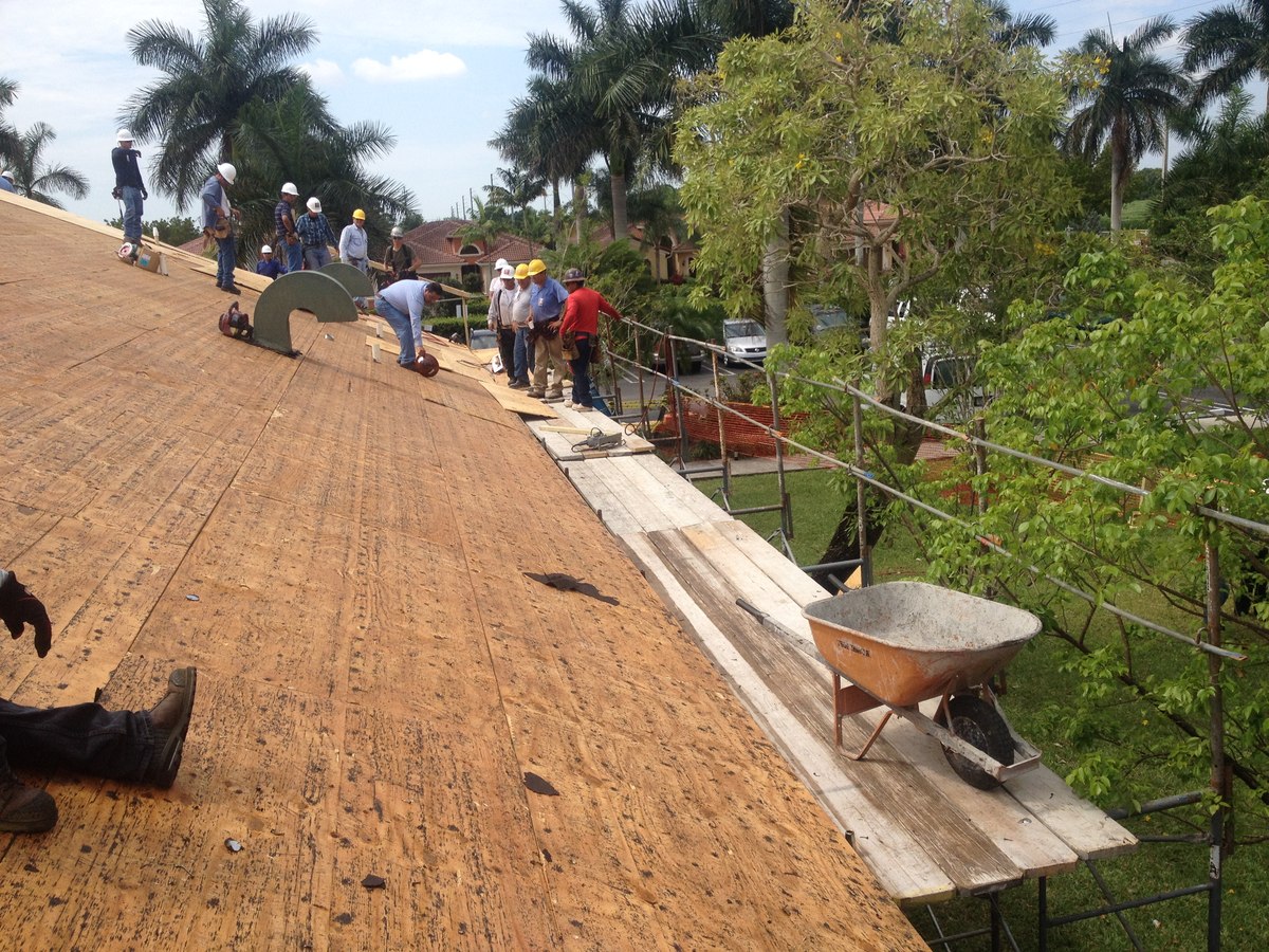 Crew of six in white and yellow hard hats working on a freshly sheathed plywood roof deck with wheelbarrow, palms behind.