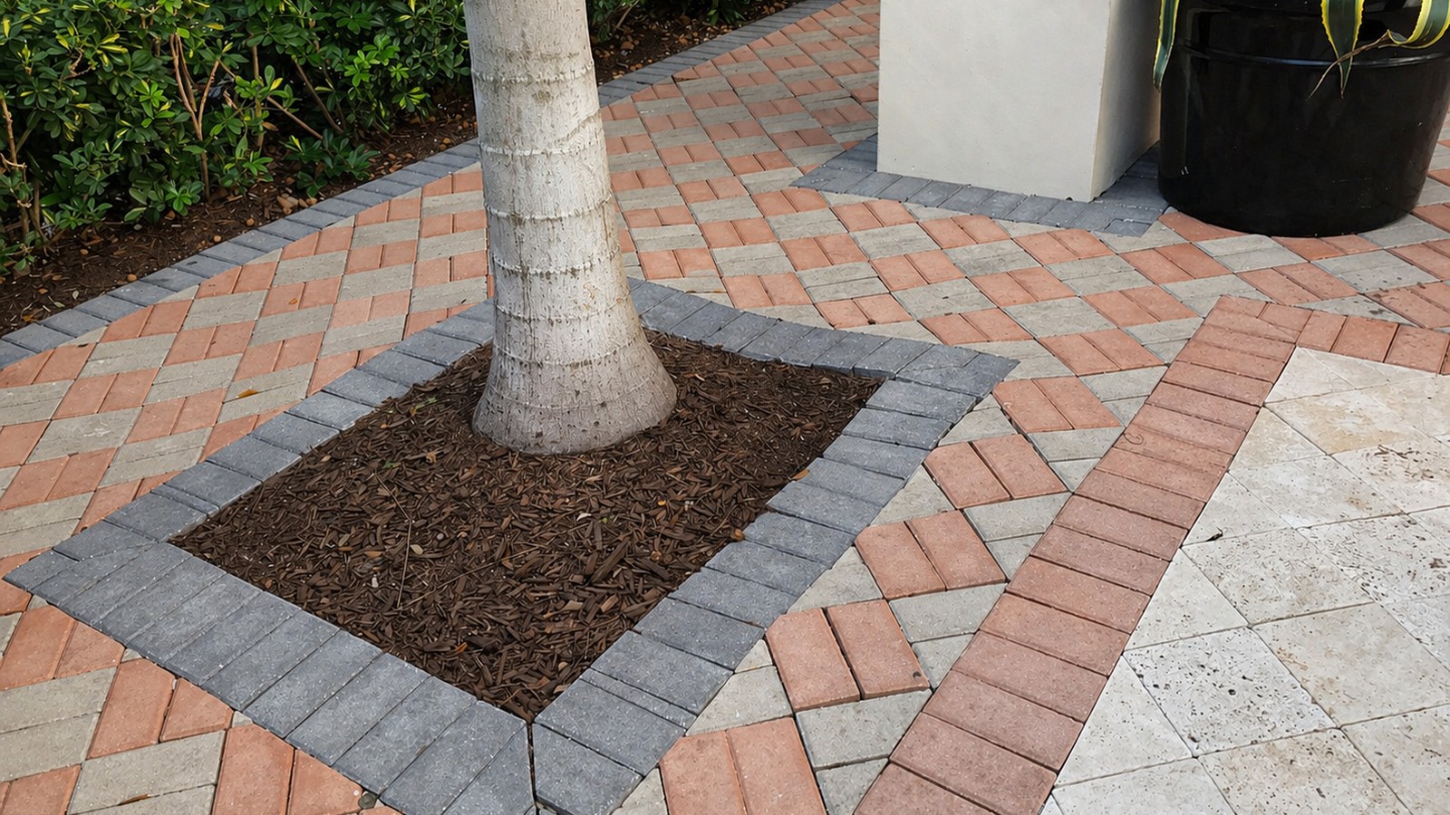 Decorative multi-color paver detail framing a palm-tree base with grey, red and beige paver bands in a geometric pattern.