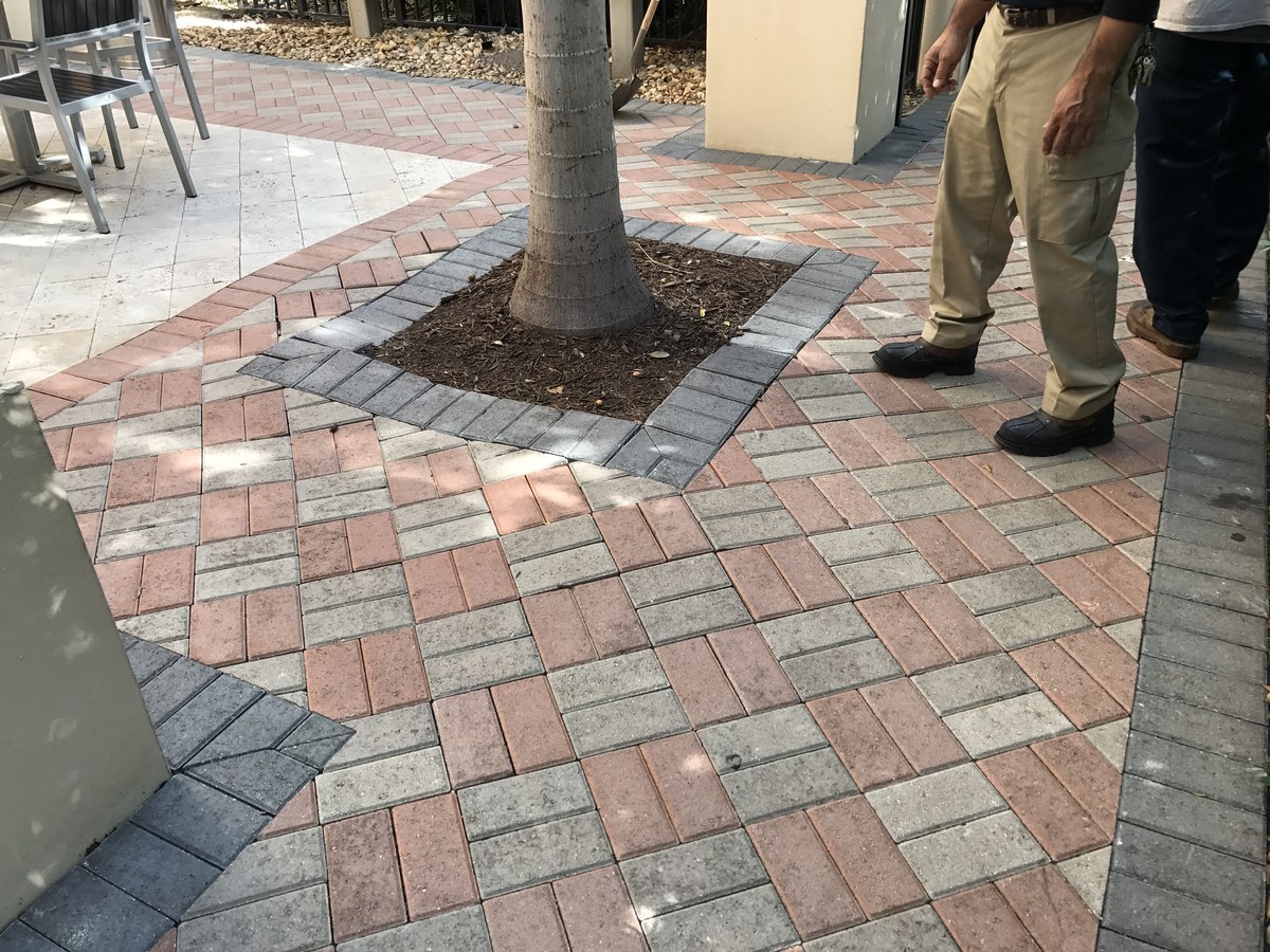 Wider view of paver hardscape patio with palm-tree base, mixed-color brick pattern, and a cropped figure at right.