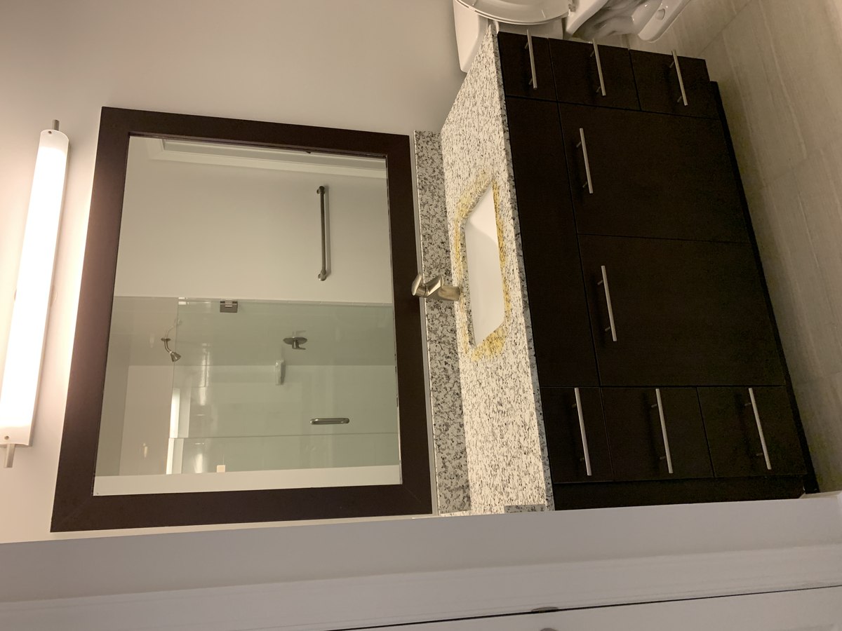 Bathroom vanity with espresso cabinets and matching framed mirror; reflection shows the new frameless glass shower with grab bar.
